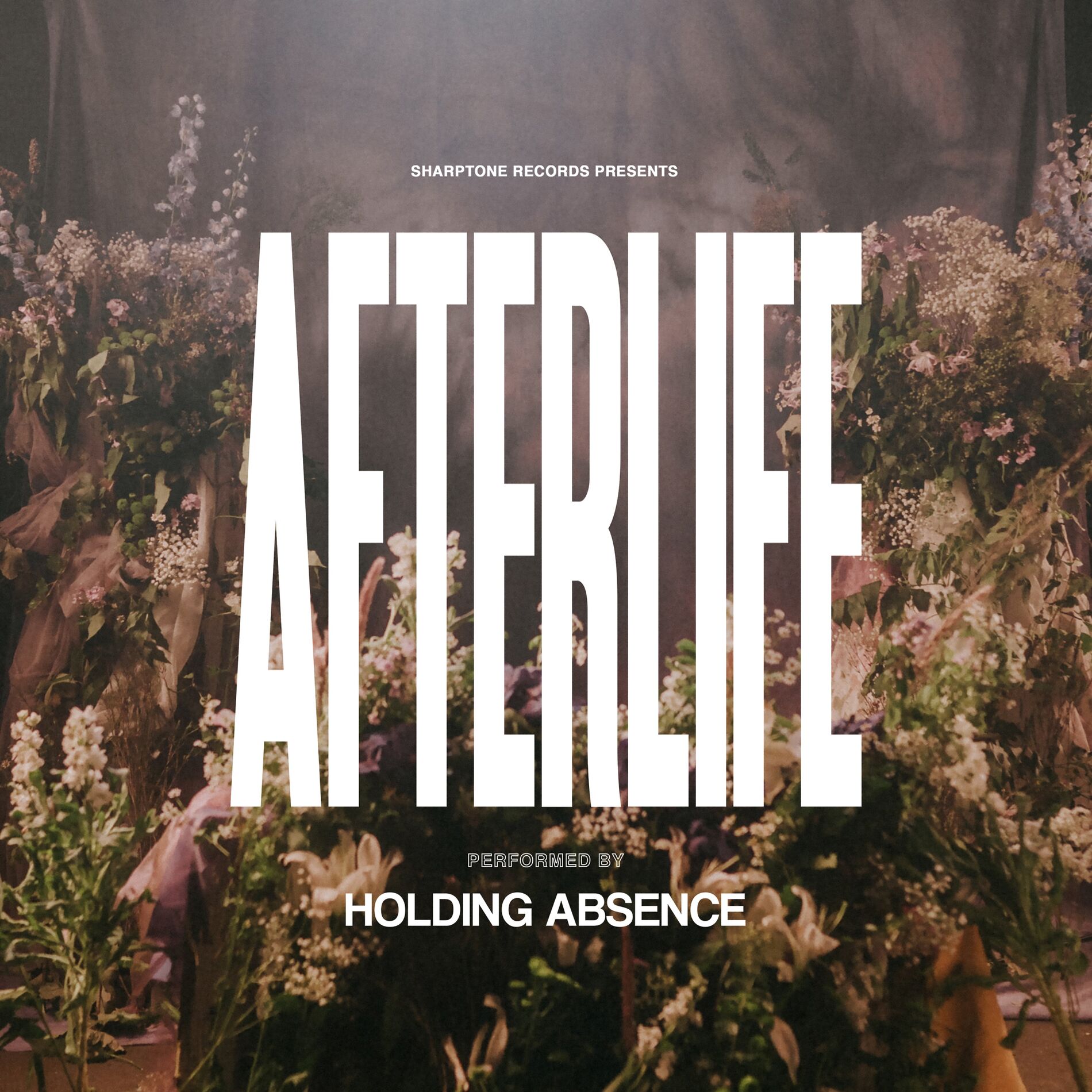 Album cover of Afterlife