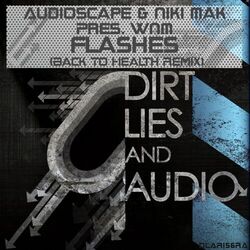 Cover of Flashes