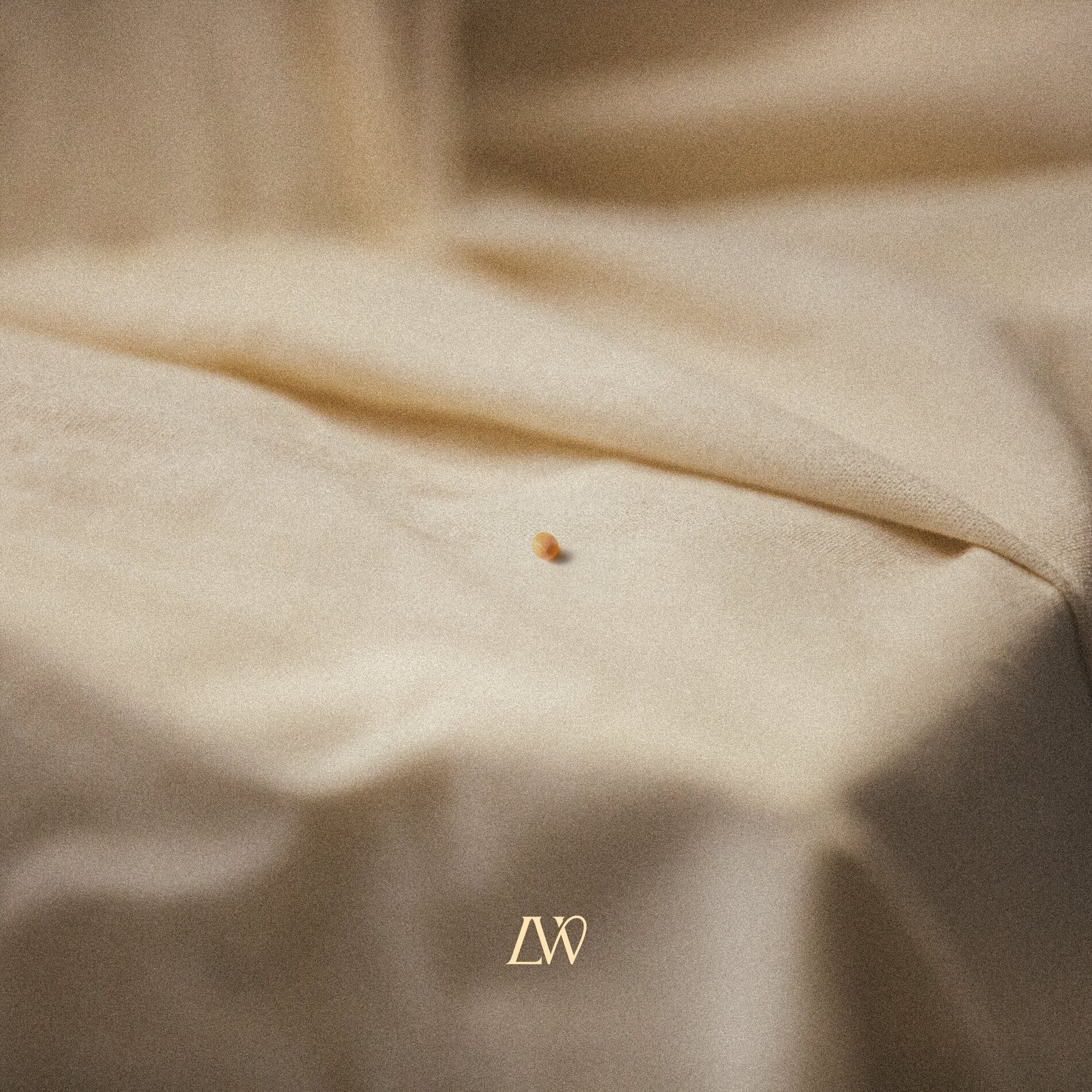 Album cover of Somos Livres