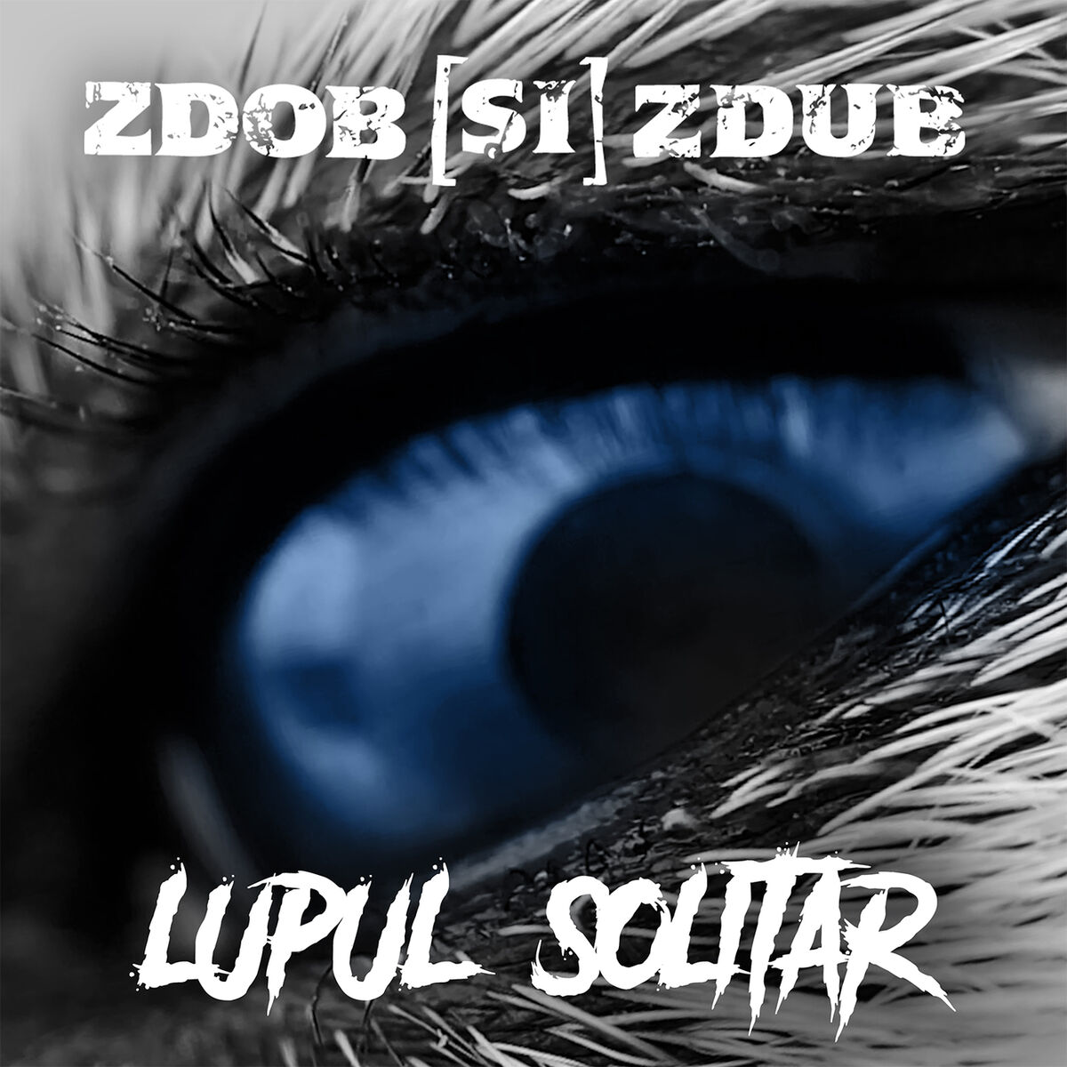 Album cover of Lupul Solitar