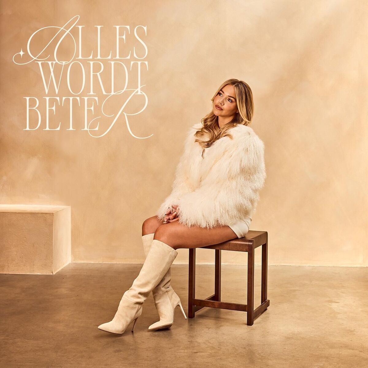 Album cover of Alles Wordt Beter