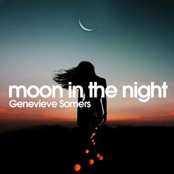 Cover of Moon in the Night