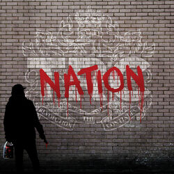 Cover of Nation