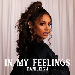 Cover of In My Feelings