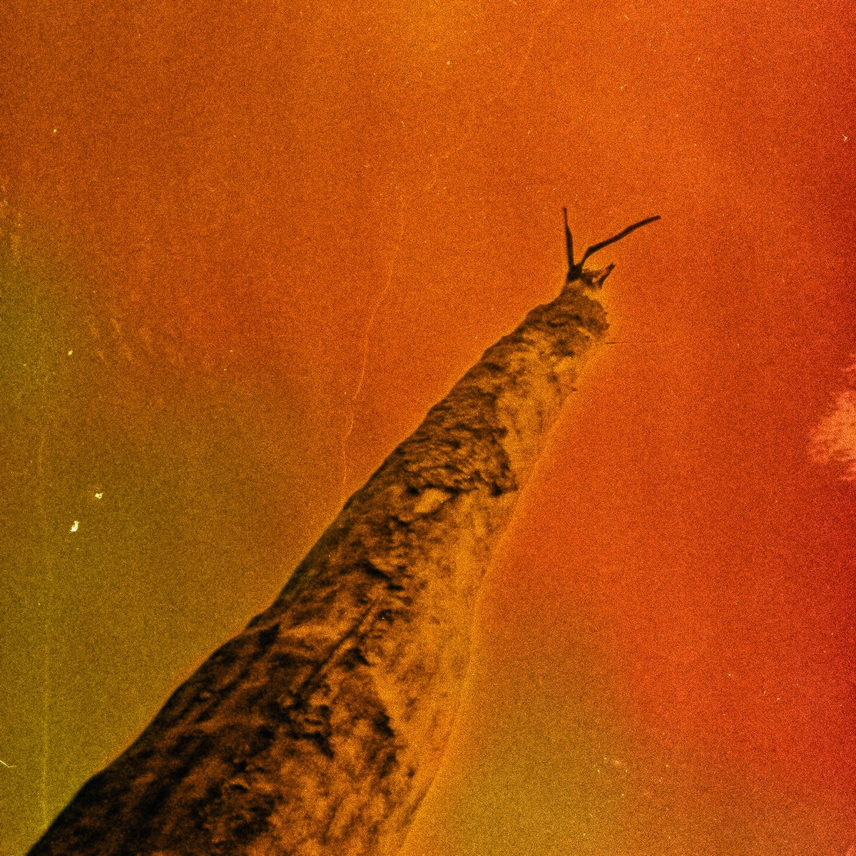 Album cover of SIHR