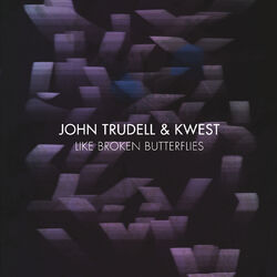 Cover of Like Broken Butterflies