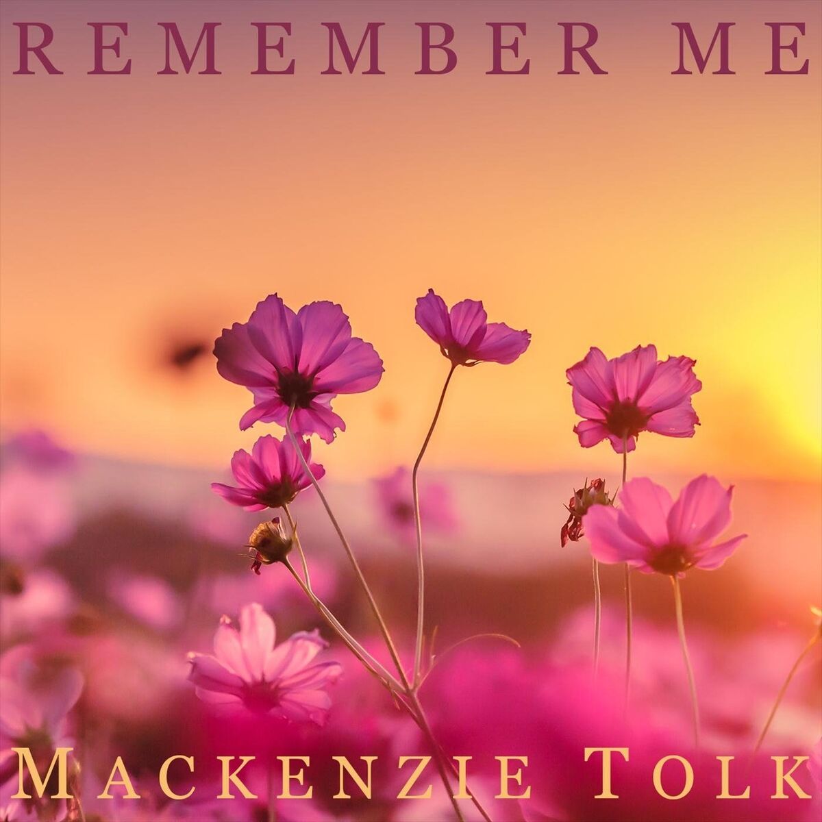 Album cover of Remember Me