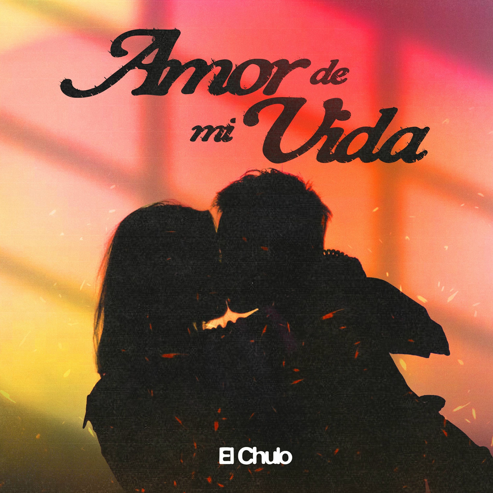 Album cover of Amor de Mi Vida