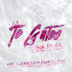 Cover of Te Gateo (TikTok Remix)
