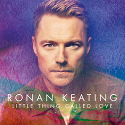Cover of Little Thing Called Love (Single Mix)