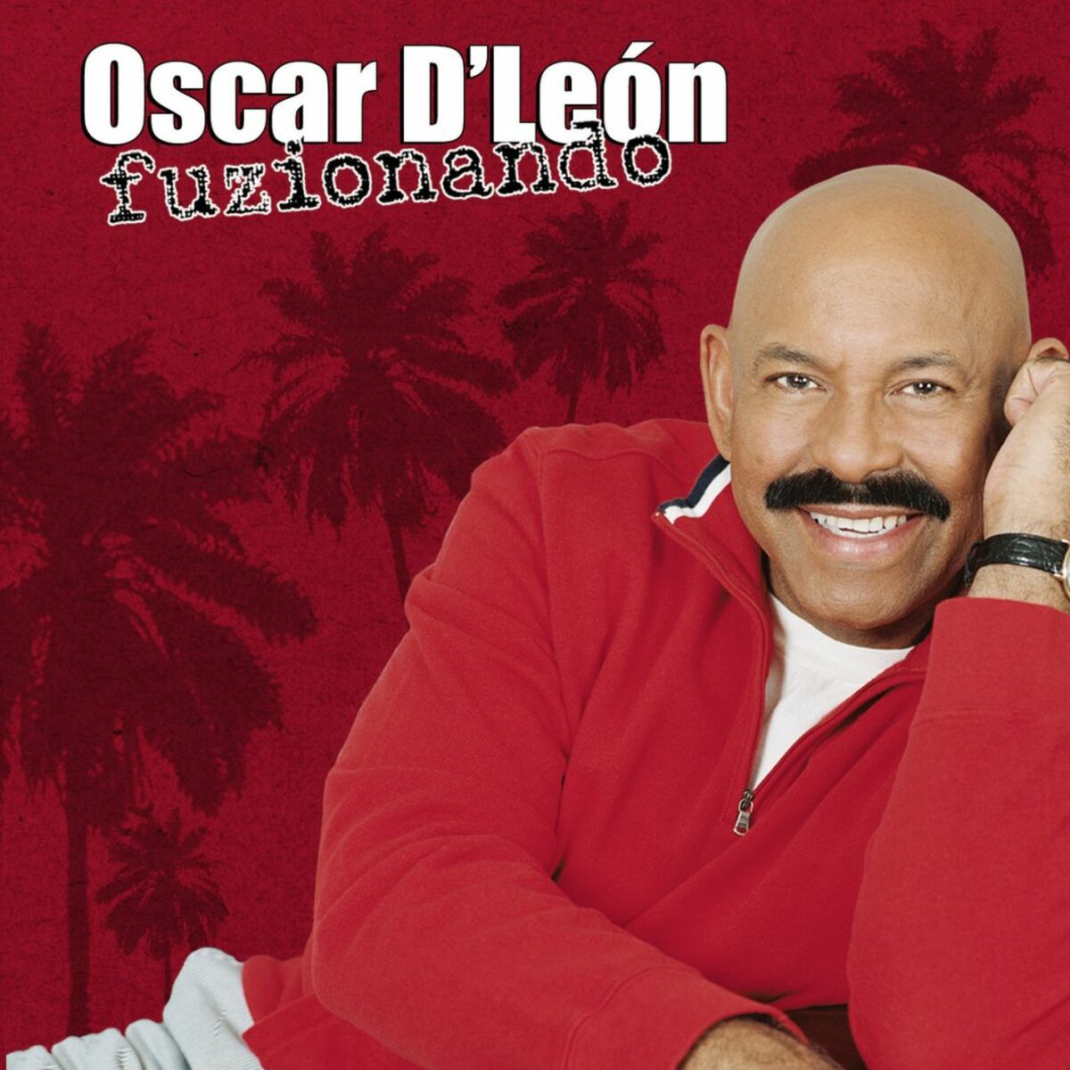 Album cover of Fuzionando