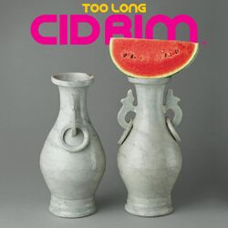 Cover of Too Long
