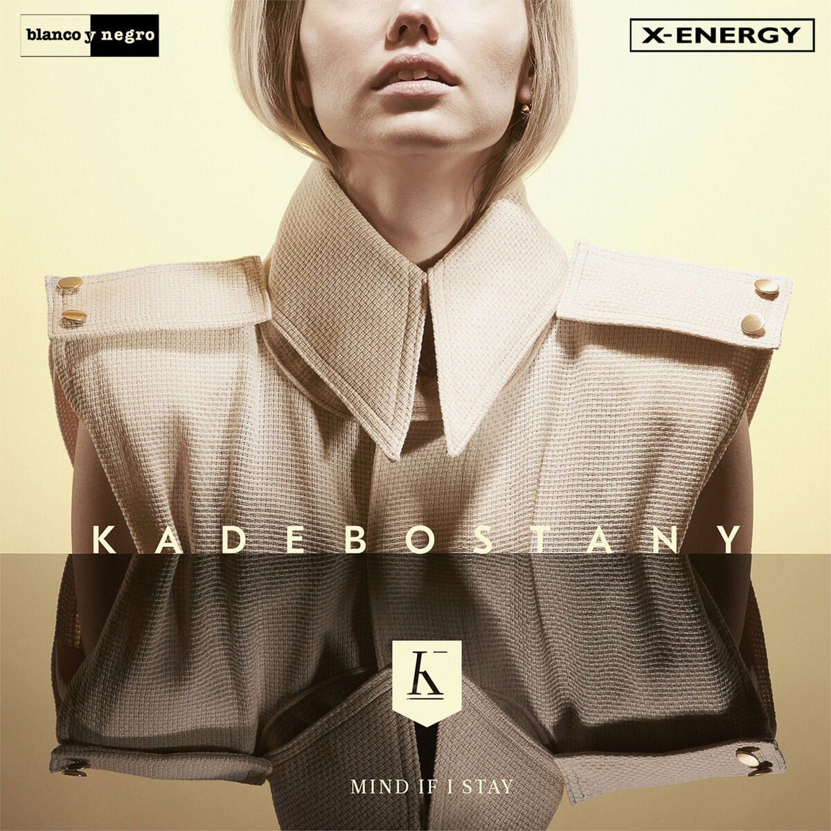Album cover of Mind If I Stay