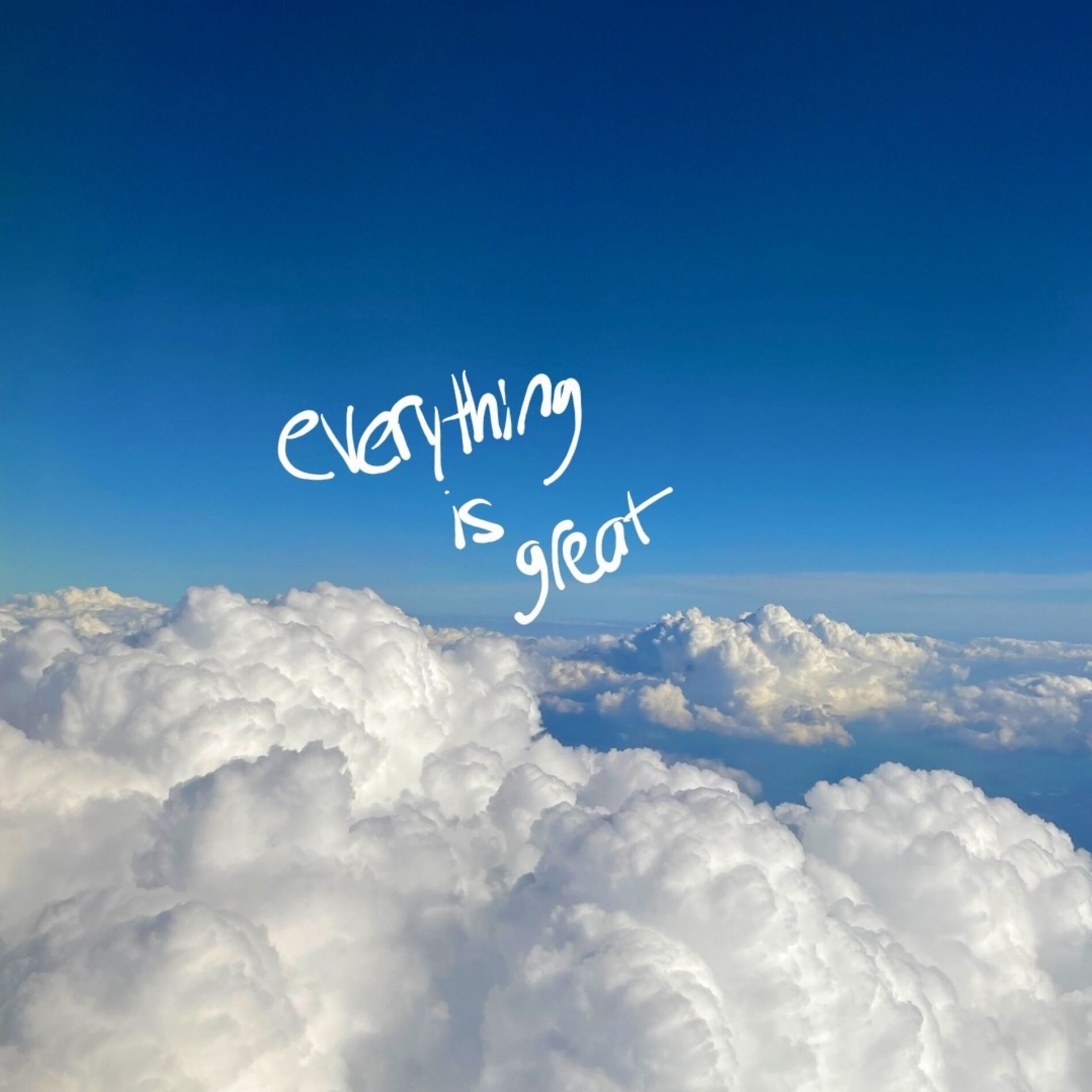 Album cover of everything is great