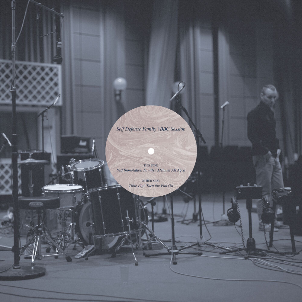 Picture of BBC Session (Live)
