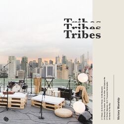 Cover of Tribes