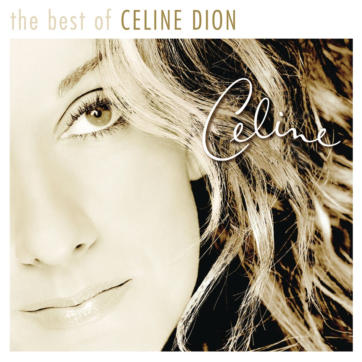 Album cover of Because You Loved Me (Theme from 