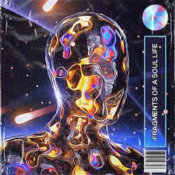 Cover of fragments of a soul life