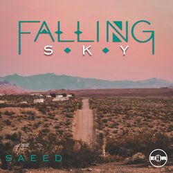 Cover of Falling Sky