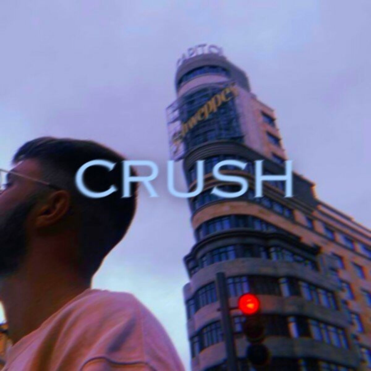 Album cover of Crush