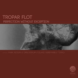Cover of Perfection Without Exception