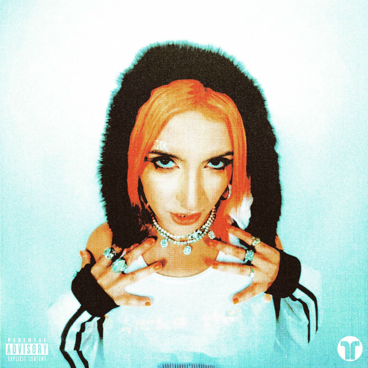 Album cover of Supah Fly