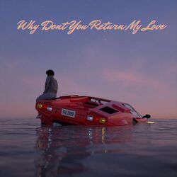 Cover of Why Dont You Return My Love
