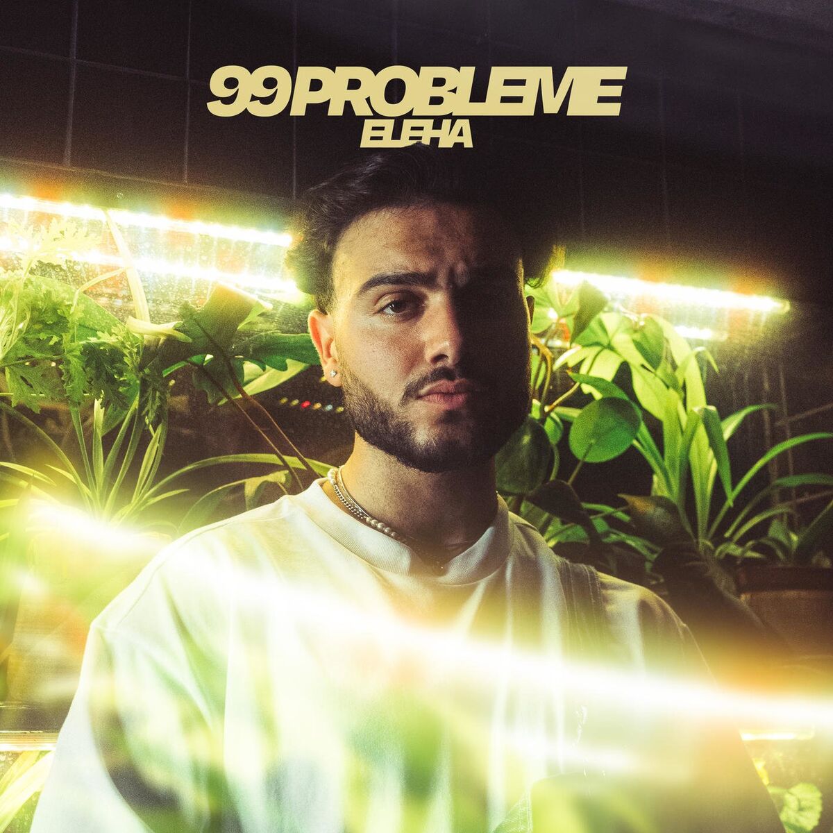 Album cover of 99 Probleme