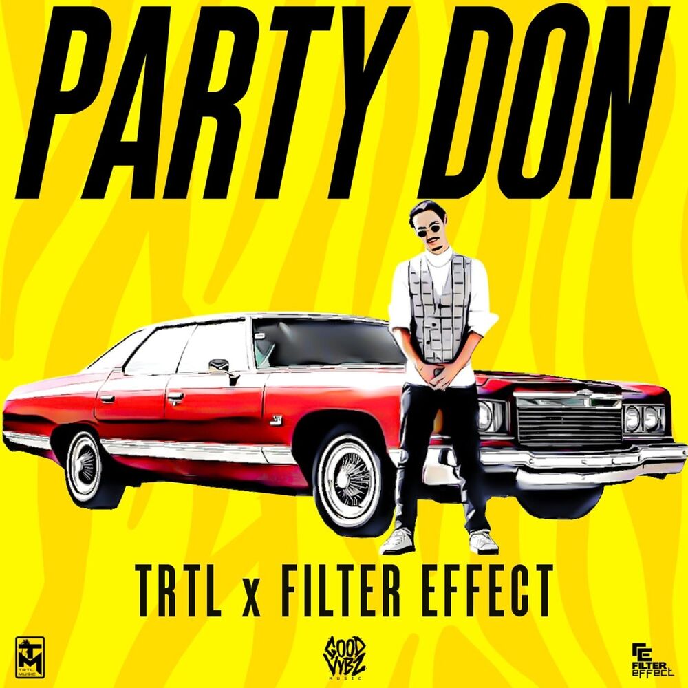 Picture of Party Don