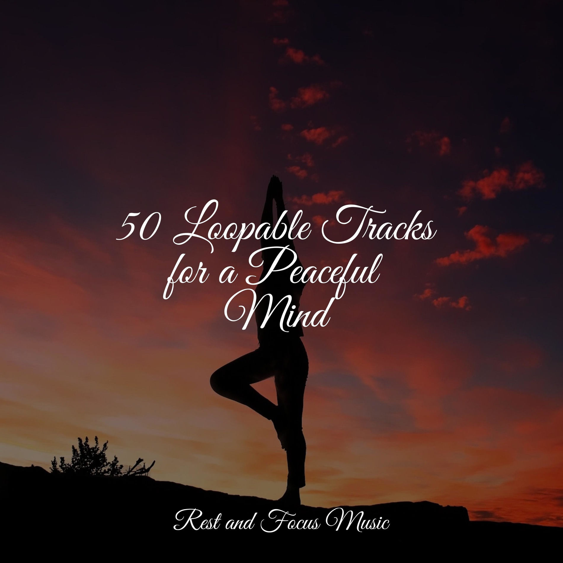 Album cover of 50 Loopable Tracks for a Peaceful Mind