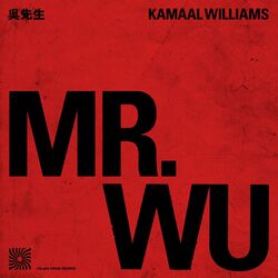Cover of Mr. Wu