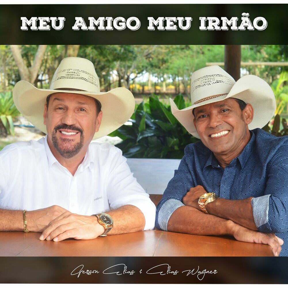 Picture of Meu Amigo Meu Irmão