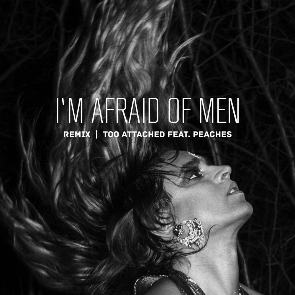 Picture of I'm Afraid of Men (Remix)