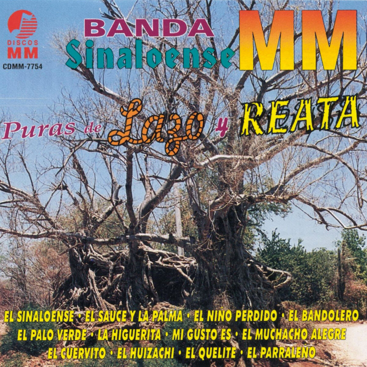 Album cover of El Niño Perdido