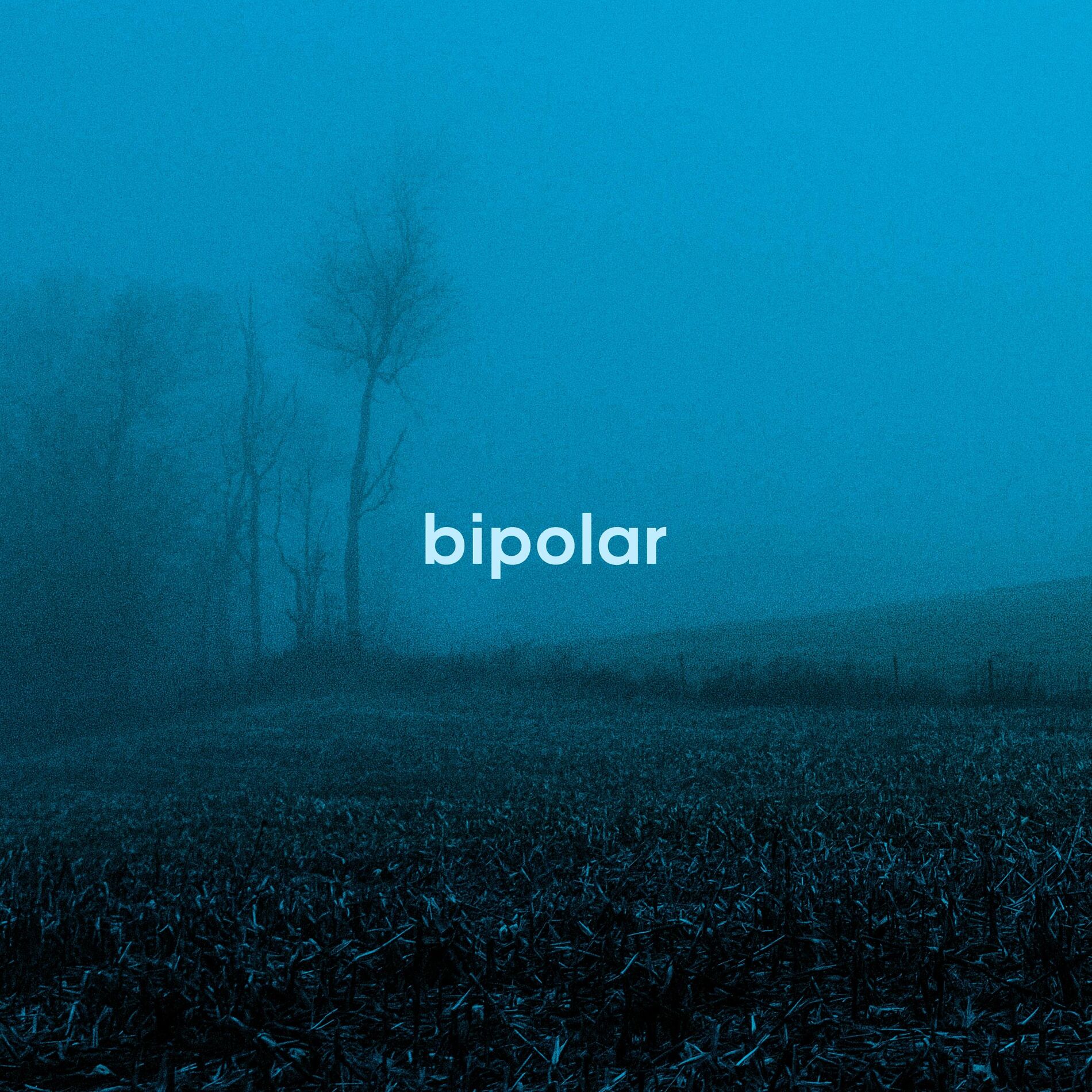 Album cover of BIPOLAR