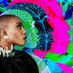 Cover of Phenomenal Woman