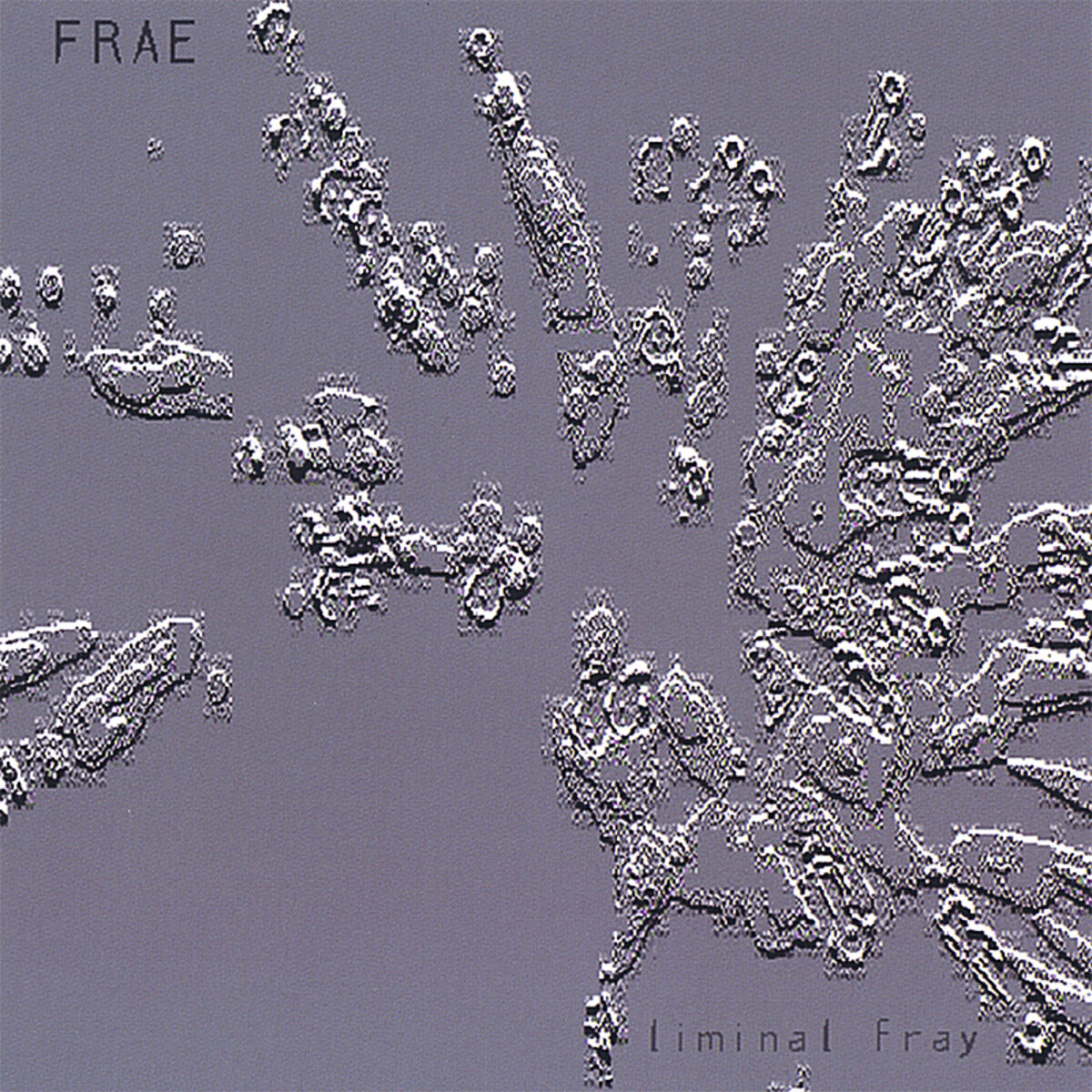 Album cover of liminal fray