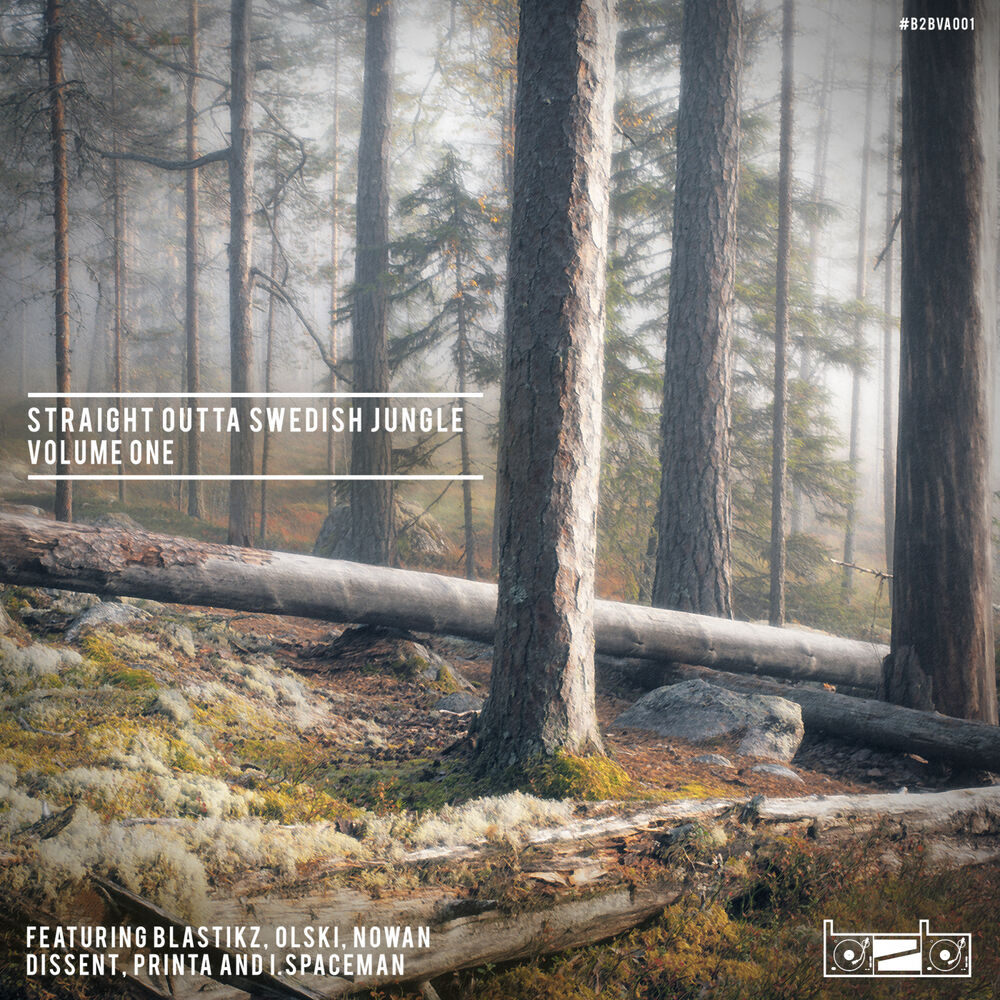 Picture of Straight Outta Swedish Jungle – Volume one