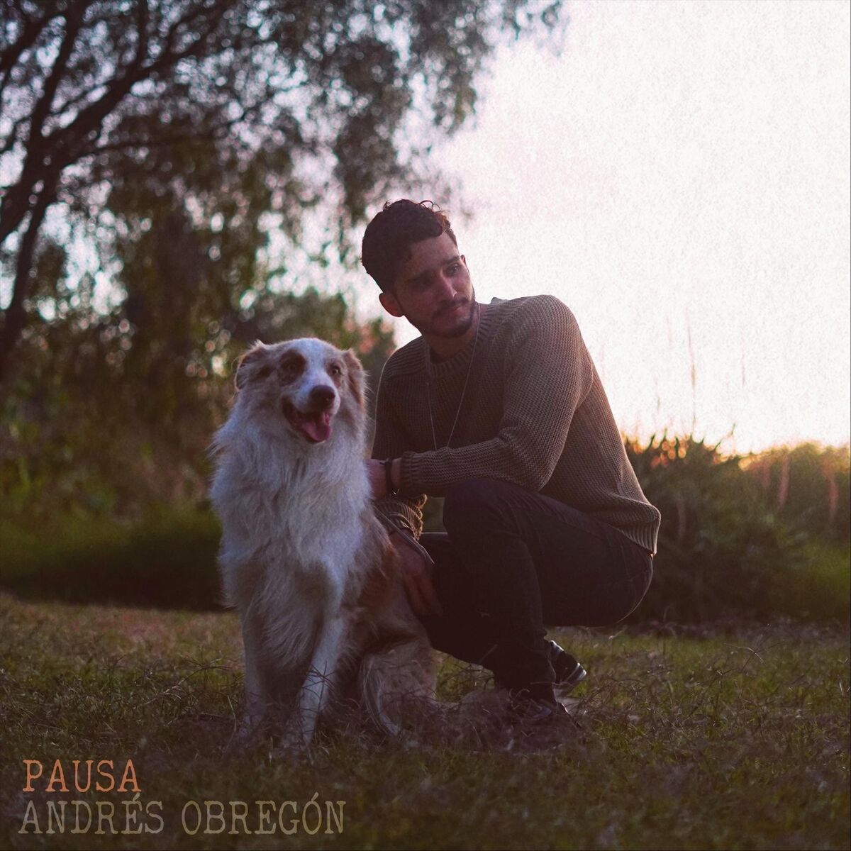 Album cover of Pausa