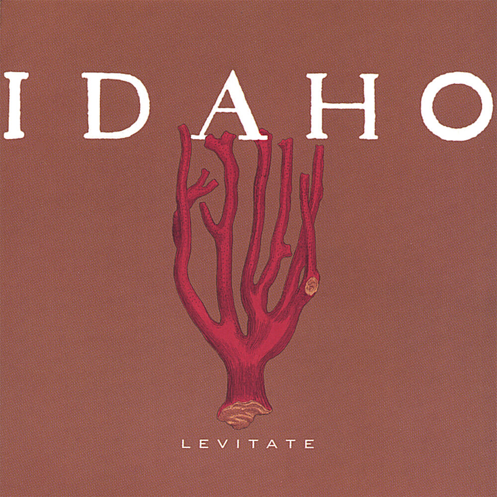 Picture of Levitate