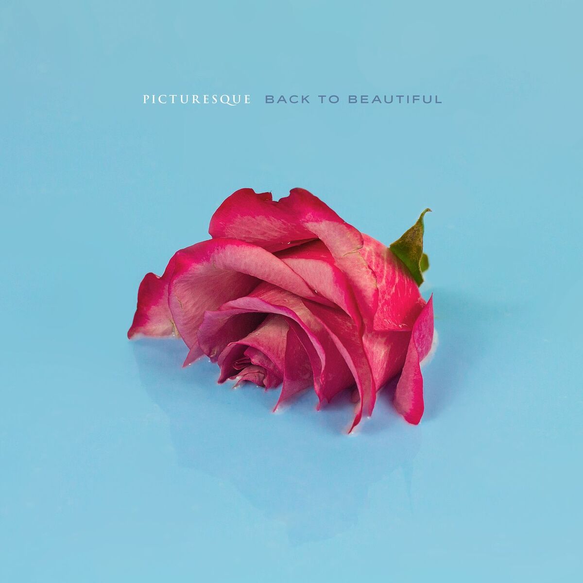 Album cover of Without You