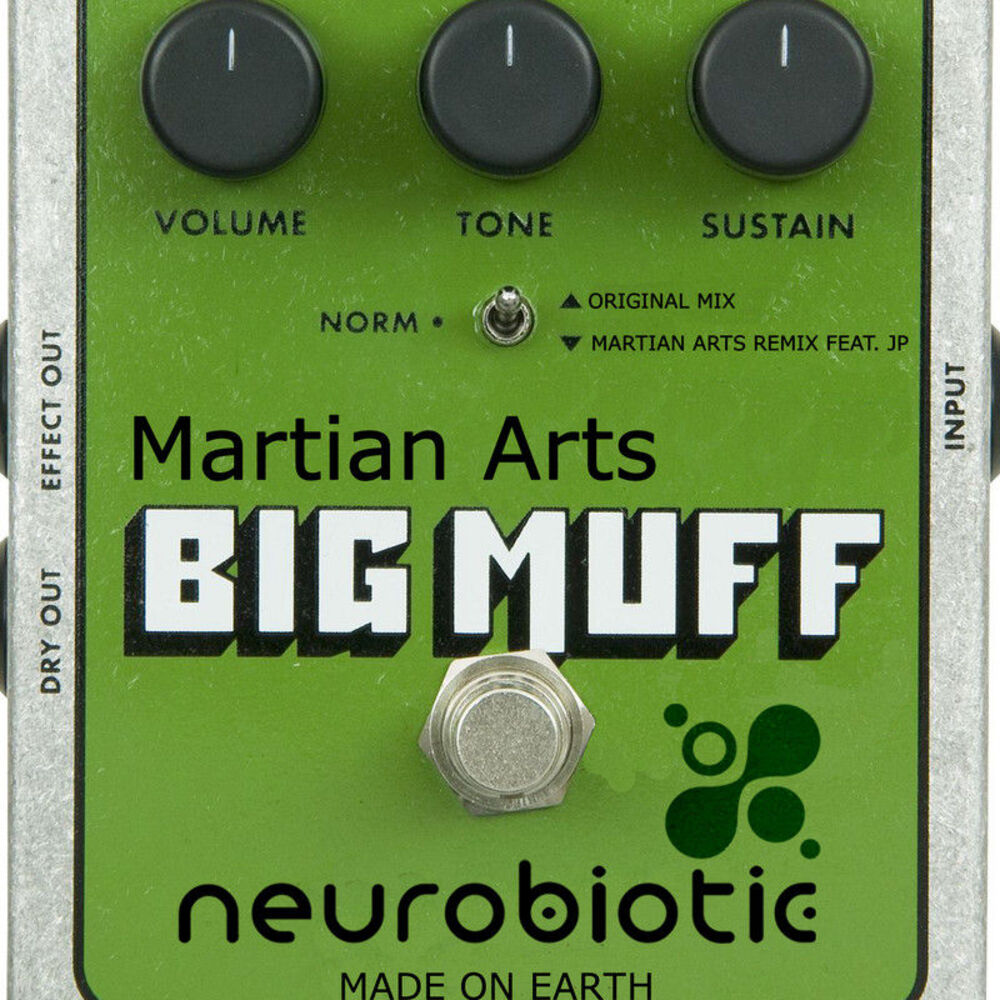 Picture of Big Muff