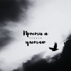Cover of Прости я улетаю