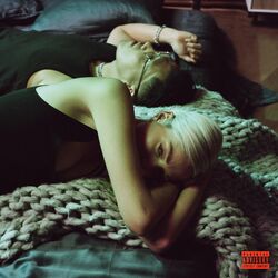 Cover of Essaie encore