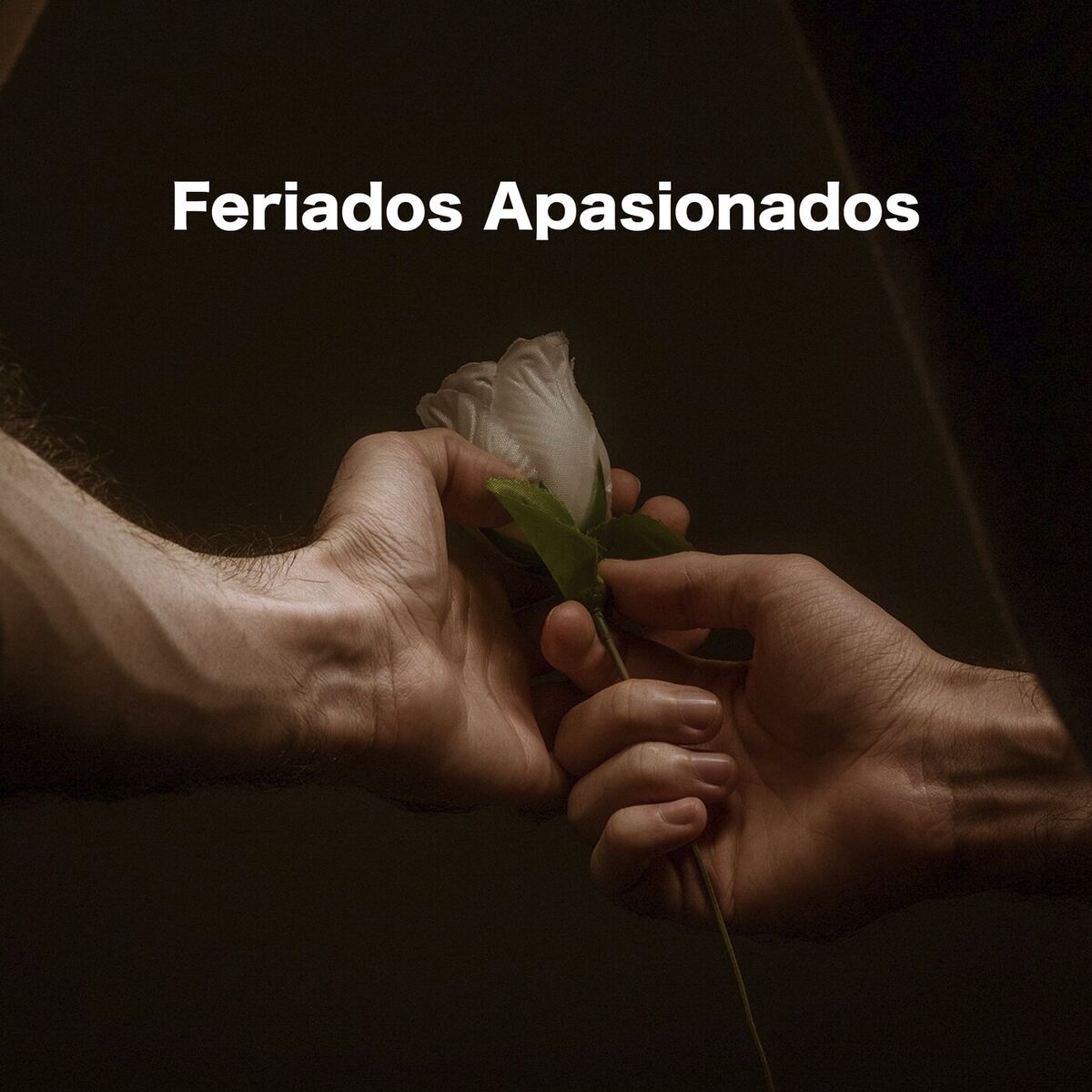 Album cover of Feriados Apasionados
