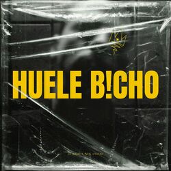 Cover of Huele B!cho
