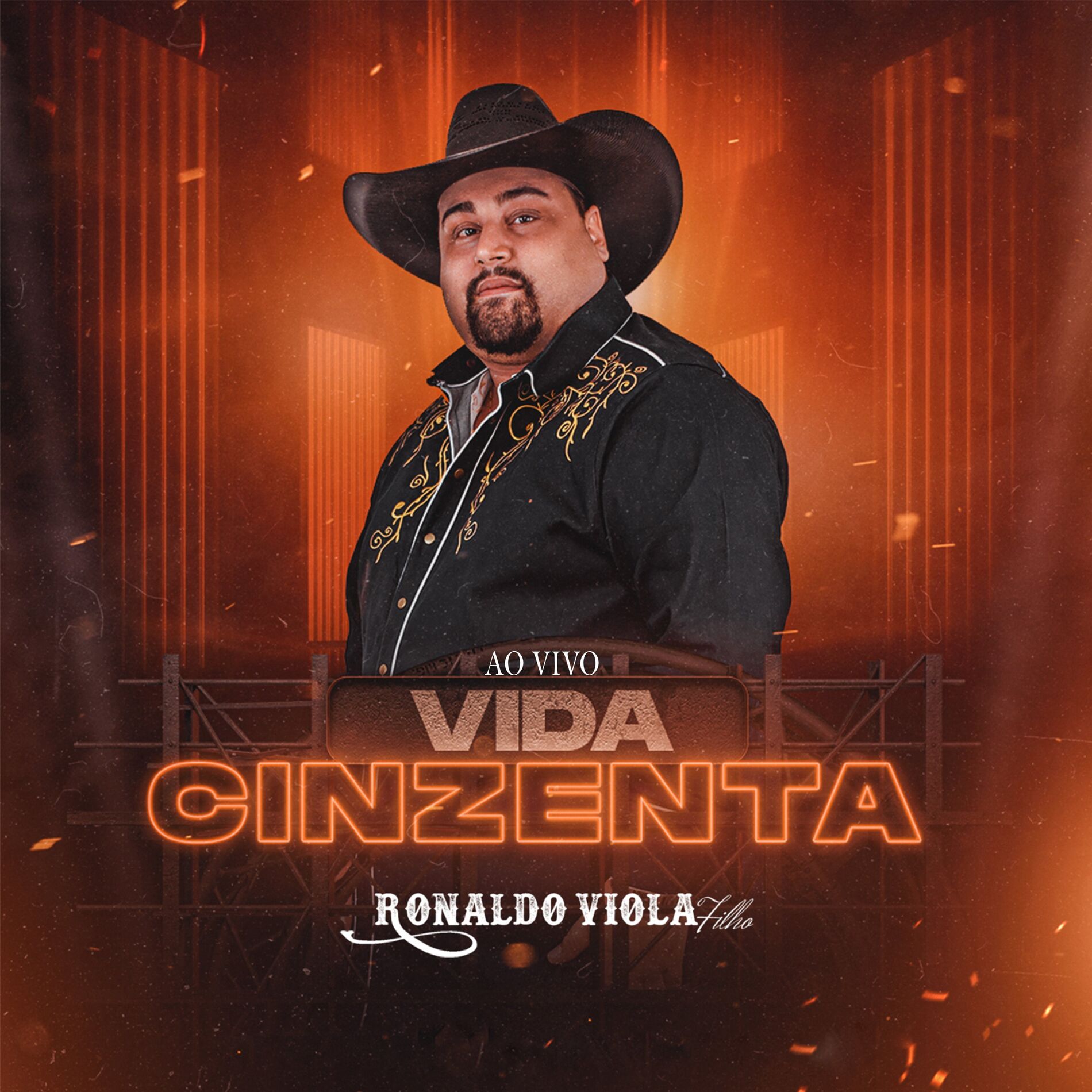 Album cover of Vida Cinzenta (Ao Vivo)