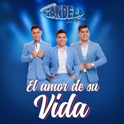 Cover of El Amor De Su Vida