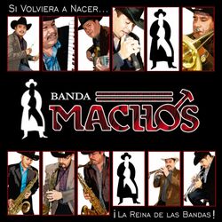 Cover of Si Volviera A Nacer