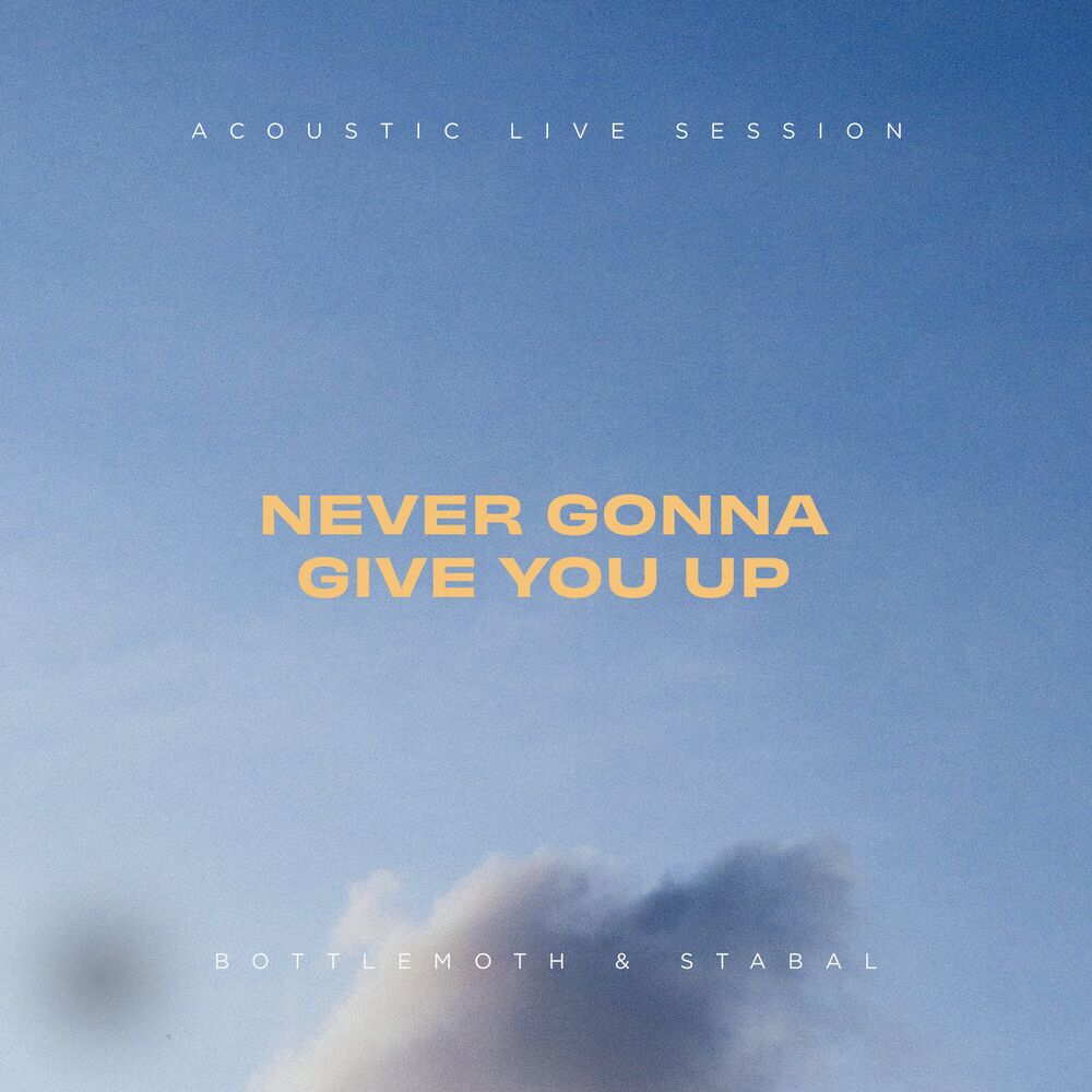 Picture of Never Gonna Give You Up (Acoustic Live Session)